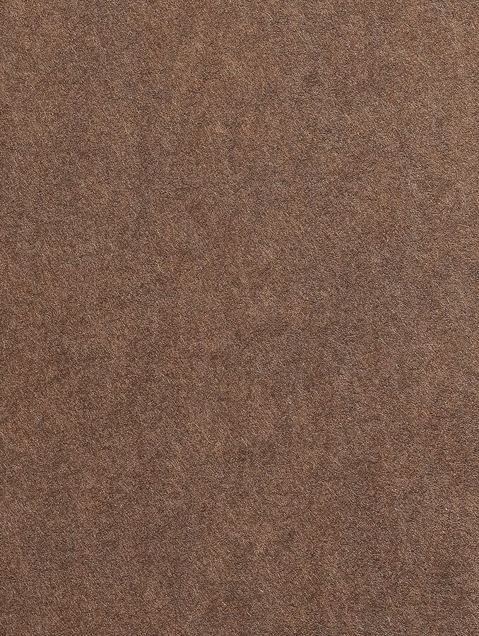 Colorplan — Bark