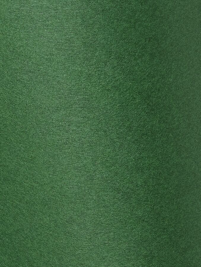 Colorplan — Forest