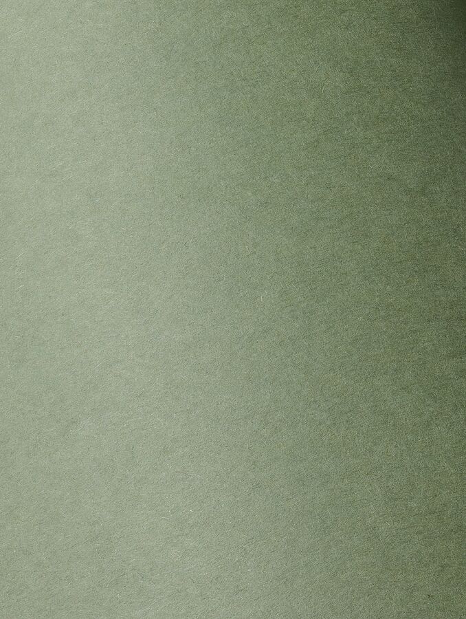 Colorplan — Mid Green