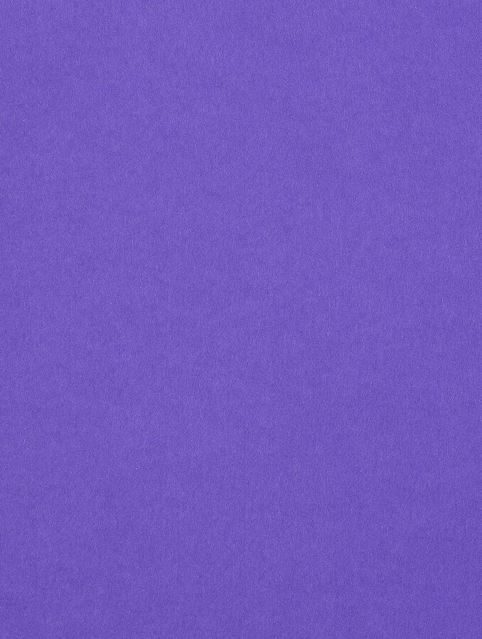 Colorplan — Purple