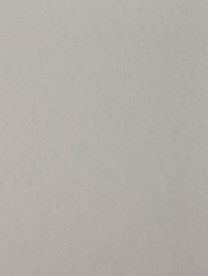 Colorplan — Real Grey
